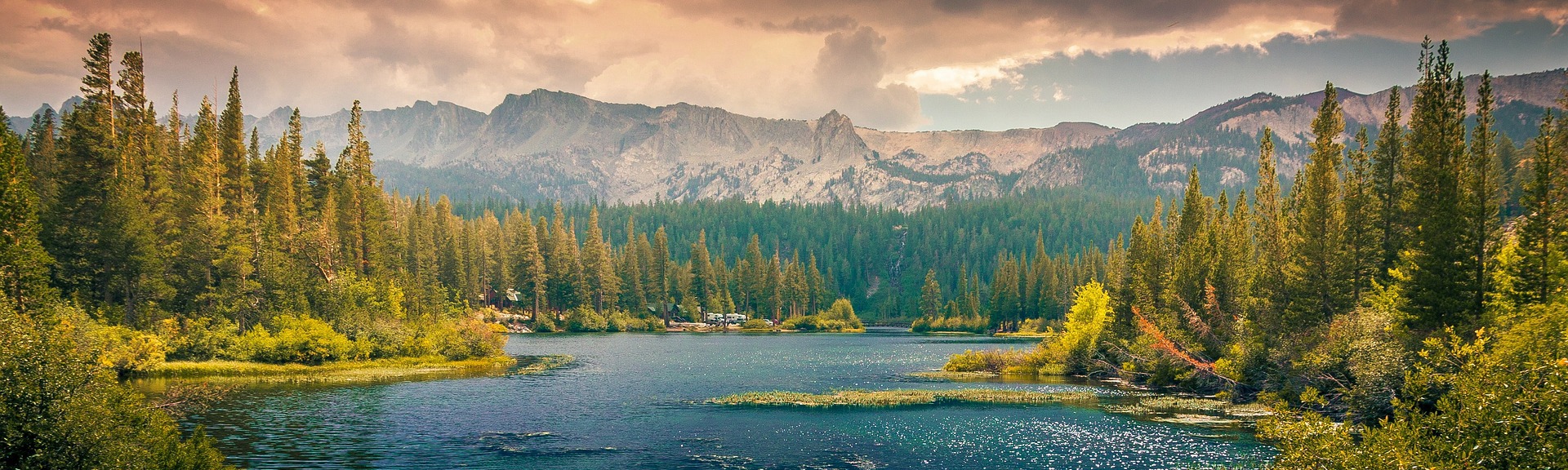북어스의 톤앤클립